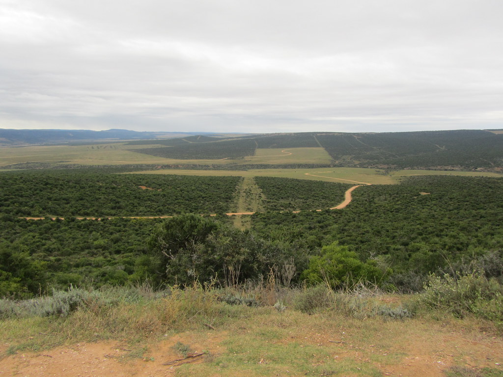Eastern Cape
